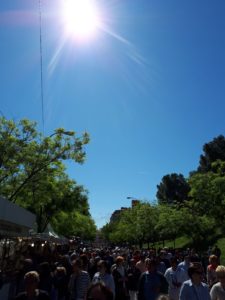 La Pradera de San Isidro, abarrotada en el festejo por el patrón de la ciudad de Madrid