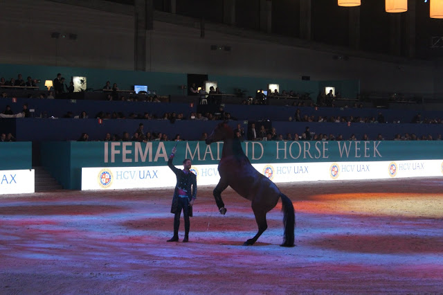 escenario, madrid horse week, MHW, azafatos, stands