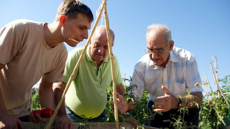 Dos señores mayores enseñan a un joven labores agrícolas en Jaén. Fuente: El diario Jaén.