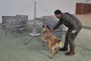 Unidades Caninas Ejército, Policía y SAMUR