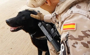 Unidades Caninas Ejército, Policía y SAMUR