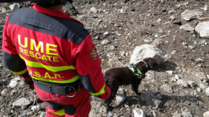 Unidades Caninas Ejército, Policía y SAMUR