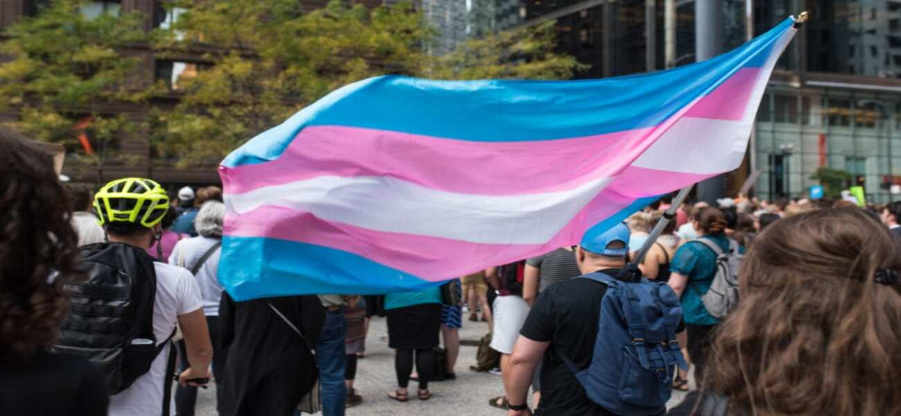 transexual, transgénero, feminismo, feminismo radical, ley Trans, ministra de Igualdad, Irene Montero, Carmen Calvo, femrad, derechos, colectivo, activismo