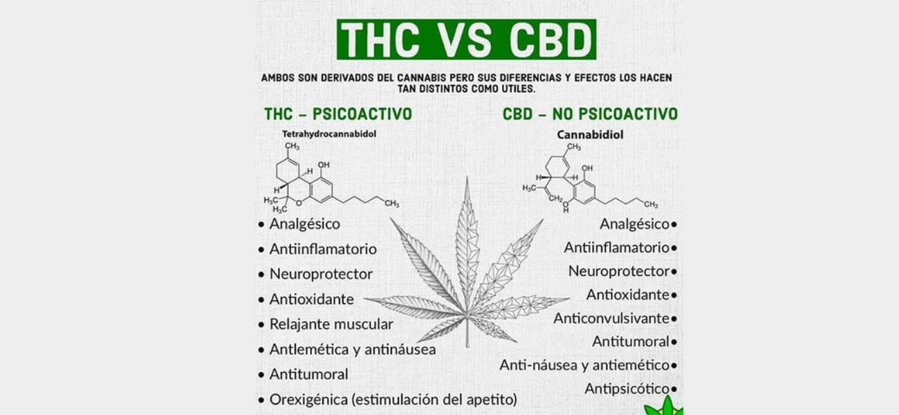 CBD, cannabis, cannabidiol
