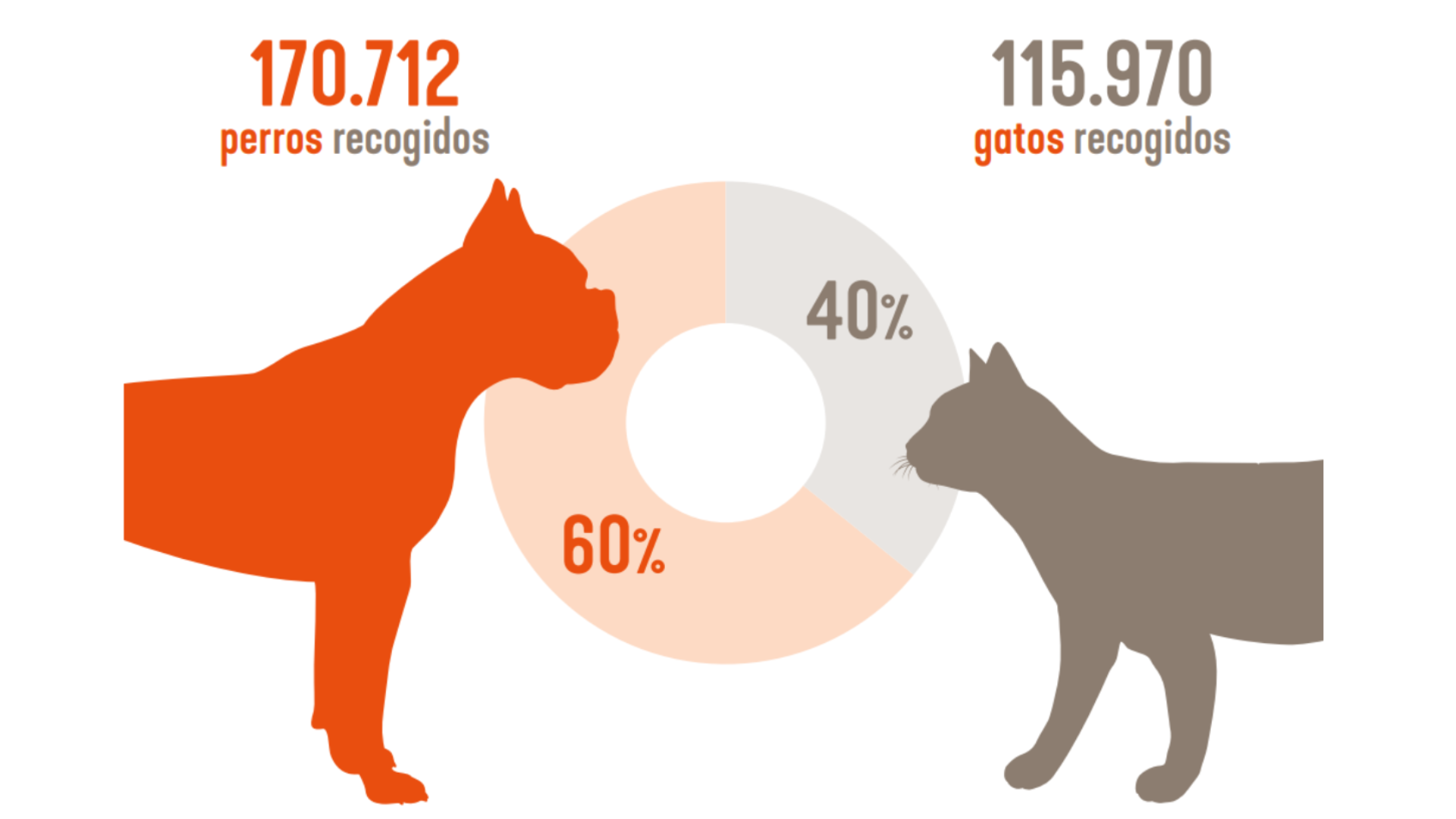 Adopción, abandono animal, refugios de animales, campañas de protección animal, ley de protección animal, concienciación