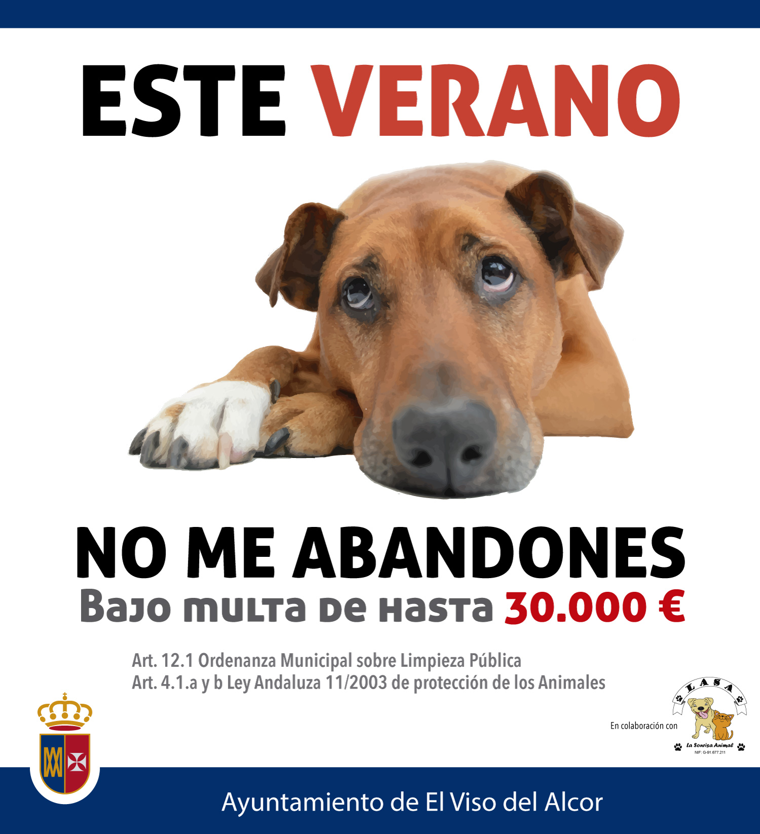 Adopción, abandono animal, refugios de animales, campañas de protección animal, ley de protección animal, concienciación