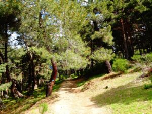 Parque Nacional de Guadarrama