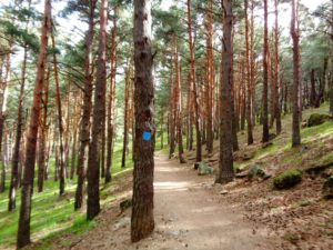 Parque Nacional de Guadarrama