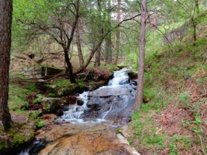 Parque Nacional de Guadarrama