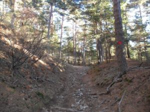 Parque Nacional de Guadarrama