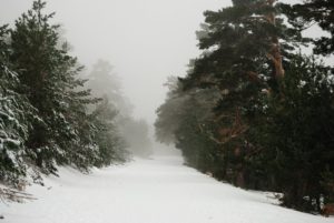 Parque Nacional de Guadarrama