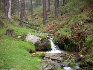 Parque Nacional de Guadarrama