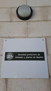 perros, abandono, asociaciones, compañeros, familia