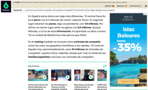 perros, abandono, asociaciones, compañeros, familia