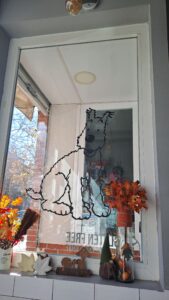 perros, abandono, asociaciones, compañeros, familia