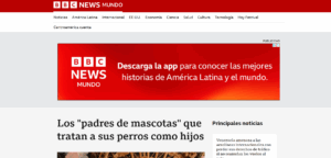 perros, abandono, asociaciones, compañeros, familia