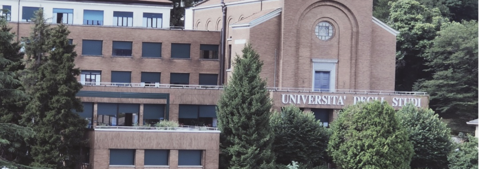 Erasmus o SICUE: la decisión que marca tu vida universitaria