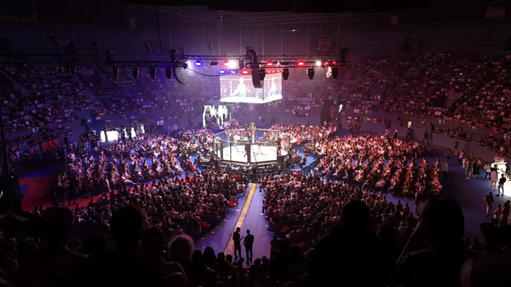 MMA, UFC, violencia, deporte, críticas, verdad, pelea, reglamento, Topuria